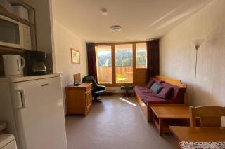 Pretty 35 m at the foot of the ski slopes - Le Dévoluy - 6