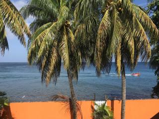 1 Bedroom Ocean View Apartment in Gouyave, Grenada - Gouyave - 9