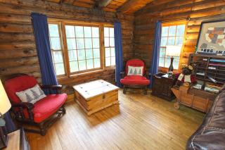 Cozy Log Cabin - Dog Friendly - 1