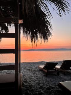 TIKI BEACH STUDIOS - 3