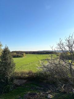 Ruhige Ferienwohnung mit Waldblick - 1