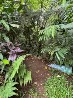 Habana River Lodge and Sanctuary - Fortuna - 5