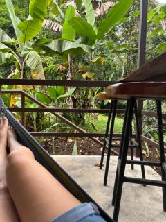 Habana River Lodge and Sanctuary - Fortuna - 1