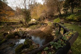 Quinta do Fradinho - Casa do Rio - Soajo - 3