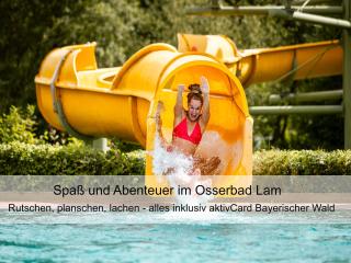GarniHotel zur Linde - Bayerischer Wald - aktivCard mit 154 kostenfreien Leistungen - kostenloser Parkplatz - Lohberg - 5