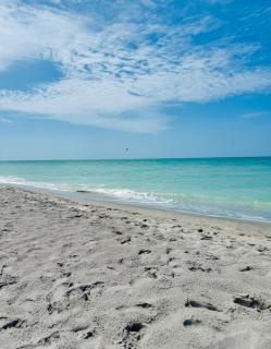 Pelicans Paradise - Rotonda West - 2