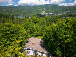 La Maison Blanche Hot tub & Sauna - Mont-Tremblant - 3