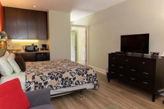 Bella Paradiso Condo 12 King Walk Dwntwn Parking - Eureka Springs - 5