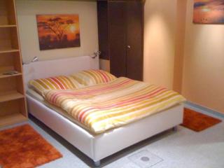 Holiday home in Wernigerode with terrace - 6