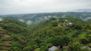 Tea Gezruli - Tsinsopʼeli - 9