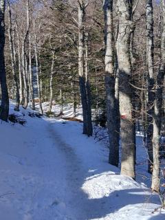 Il Nido nel Bosco - Abetone - 4