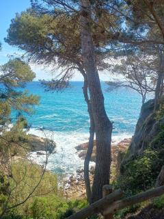 La Sardineta, es un apartamento en la Costa Brava, Palamós 1 minuto de la playa Alquiler temporal mínimo 32 noches - 7