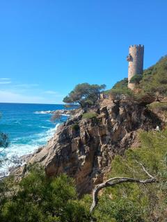 La Sardineta, es un apartamento en la Costa Brava, Palamós 1 minuto de la playa Alquiler temporal mínimo 32 noches - Palamós - 2