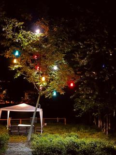 Hanging Garden Holiday Home - Riverside - Ardeşen - 6