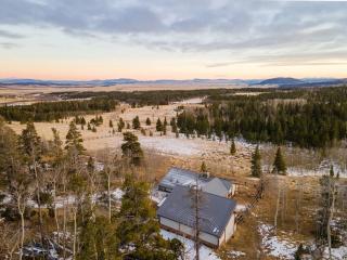 Fairplay Coyote Cabin - 8