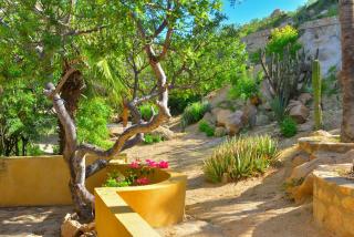 Villa los Geckos by Cabo Villas - 2