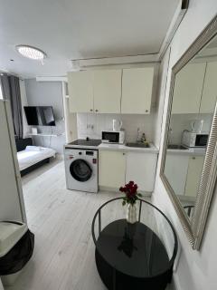 Lovely Ground Floor Miles Apartment - Londra - 0