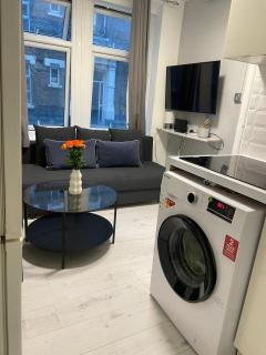 Lovely Ground Floor Miles Apartment - Londra - 8