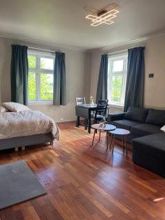Casa Gamle Bergen - Bergen - 8