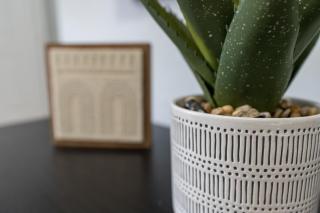 Your Disney Vacation Home 7102 - 1