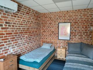 Apartament „Sowa” jezioro 250m, góry - Bielawa - 9