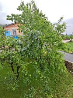 Kuca za odmor Amber - Podastrana - 8