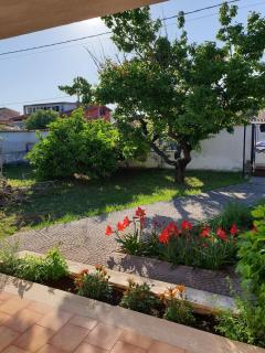 Villetta Mare Australe - Ardea - 4