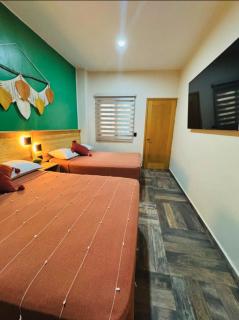 Acogedor departamento a 10 min del centro Oaxaca de Juarez - Città di Oaxaca - 2