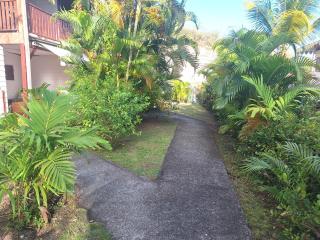 Hibiscus - Le Diamant - 4