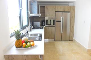 Amare Penthouse, great beachfront complex - Las Terrenas - 0