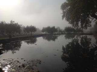 Domaine la Carraire - Lauris - 2