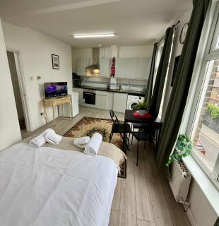 Luminous Family Flat (4 guests) - London - 8