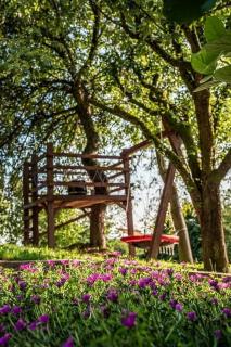 Apartments with a parking space Sandrovac, Bjelovarska - 24354 - - 6