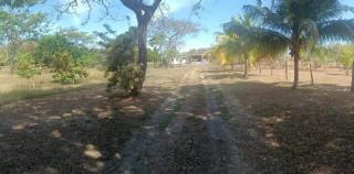 Casa de Campo - Penonomé - 8