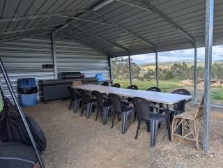 Big Tree Farmhouse - Rathdowney - 3