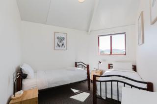 Snowdome 4 3 Poly Cow Lane - Jindabyne - 2