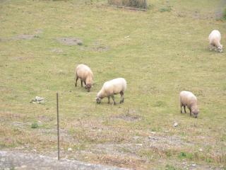 Holiday Home in Couvin with Terrace - Aublain - 5