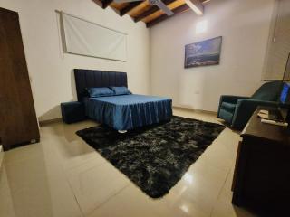 Casa Costantini Sosa - Caña de Castilla - 1