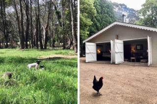 Annies Barn, Fitzroy Falls - Fitzroy Falls - 8