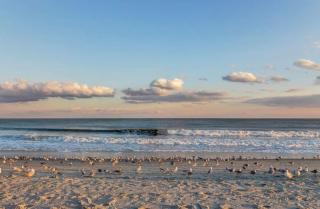 *OCEAN VIEW BEAUTY* Pools, Lazy River, Hot Tubs+*M73 - Myrtle Beach - 3