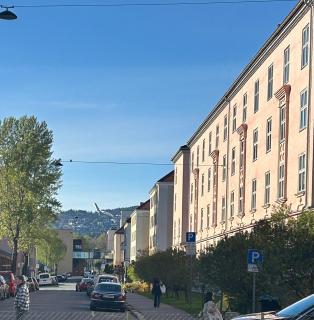 Central apartment in Majorstuen - Oslo - 5