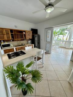 Beachfront Apartment - Punta Popy, Las Terrenas - Las Terrenas - 5