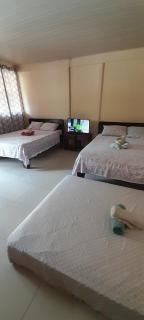 Hotel Black Beach Ecolodge - 2