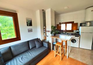 Apartamento Sobremonte vistas al Rio Gallego - Biescas - 2