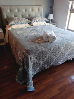 Gasset Apartments Flores Provi - 0