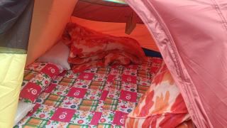 Kedarnath Nandi Base Camp - Kedārnāth - 4