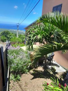 Loc' Avirons 10 bis - 9