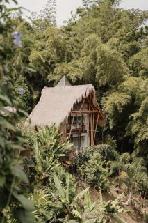 Ibuku Hotel Guatapé - Chalets - Guatapé - 9