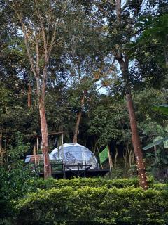 Glamping la cabaña - - 8