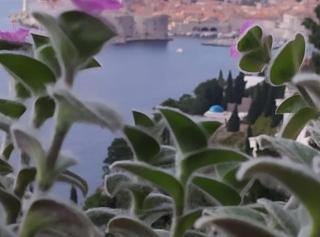Charming Apartment with Terrace and Old Town View - Dubrovnik - 1